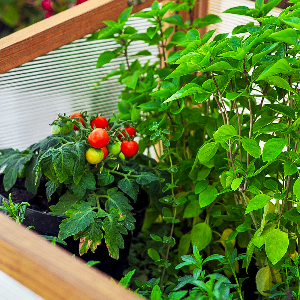 Produktion im Einklang mit der Natur